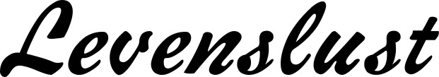 Vorschau des Bootsnamens "Levenslust" als Schriftzug für "Bootsbeschriftung Klassisch 12"