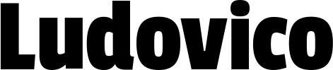 Vorschau des Bootsnamens "Ludovico" als Schriftzug für "Bootsbeschriftung Fett 30"