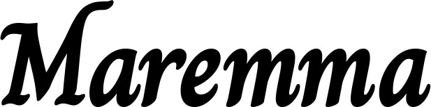 Vorschau des Bootsnamens "Maremma" als Schriftzug für "Bootsbeschriftung Klassisch 51"
