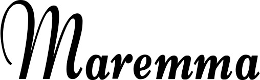 Vorschau des Bootsnamens "Maremma" als Schriftzug für "Bootsbeschriftung Klassisch 76"