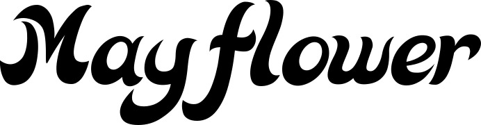 Vorschau des Bootsnamens "Mayflower" als Schriftzug für "Bootsbeschriftung Klassisch 33"