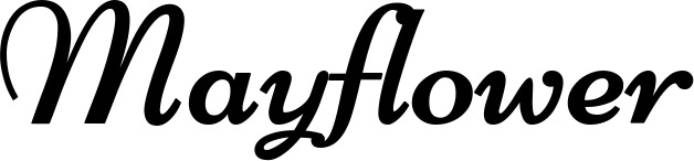 Vorschau des Bootsnamens "Mayflower" als Schriftzug für "Style Klassisch 84"