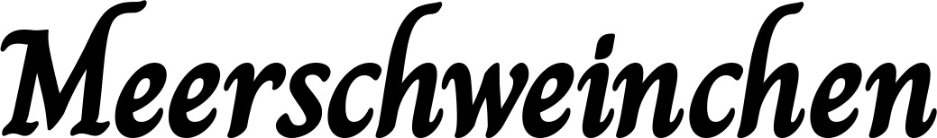 Vorschau des Bootsnamens "Meerschweinchen" als Schriftzug für "Bootsbeschriftung Klassisch 51"