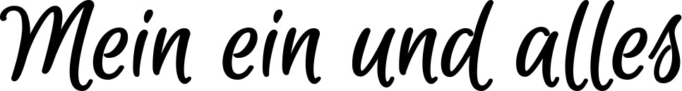 Vorschau des Bootsnamens "Mein ein und alles" als Schriftzug für "Bootsbeschriftung Klassisch 105"