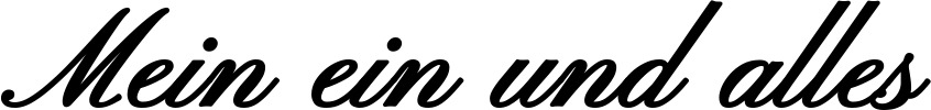 Vorschau des Bootsnamens "Mein ein und alles" als Schriftzug für "Bootsbeschriftung Klassisch 107"