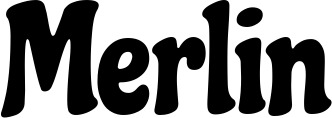 Vorschau des Bootsnamens "Merlin" als Schriftzug für "Bootsbeschriftung Neu 41"