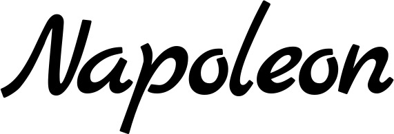 Vorschau des Bootsnamens "Napoleon" als Schriftzug für "Bootsbeschriftung Klassisch 45"