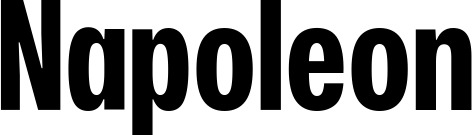 Vorschau des Bootsnamens "Napoleon" als Schriftzug für "Bootsbeschriftung Fett 25"