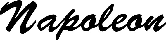 Vorschau des Bootsnamens "Napoleon" als Schriftzug für "Bootsbeschriftung Klassisch 03"