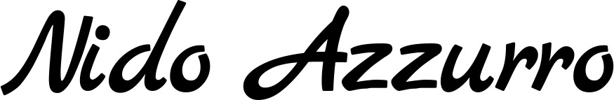 Vorschau des Bootsnamens "Nido Azzurro" als Schriftzug für "Bootsbeschriftung Klassisch 45"
