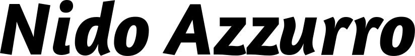 Vorschau des Bootsnamens "Nido Azzurro" als Schriftzug für "Bootsbeschriftung Kursiv 01"