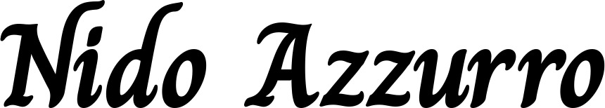 Vorschau des Bootsnamens "Nido Azzurro" als Schriftzug für "Bootsbeschriftung Klassisch 51"