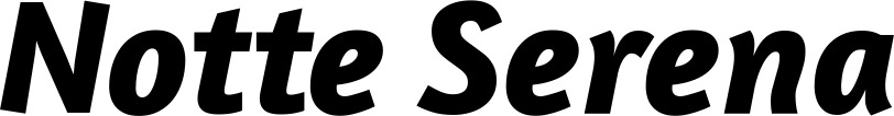 Vorschau des Bootsnamens "Notte Serena" als Schriftzug für "Bootsbeschriftung Kursiv 01"