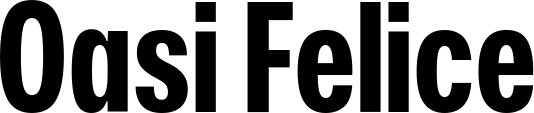 Vorschau des Bootsnamens "Oasi Felice" als Schriftzug für "Bootsbeschriftung Fett 25"