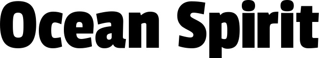 Vorschau des Bootsnamens "Ocean Spirit" als Schriftzug für "Bootsbeschriftung Fett 30"
