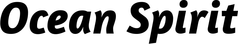 Vorschau des Bootsnamens "Ocean Spirit" als Schriftzug für "Bootsbeschriftung Kursiv 01"