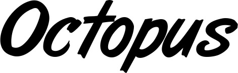 Vorschau des Bootsnamens "Octopus" als Schriftzug für "Style Klassisch 38"