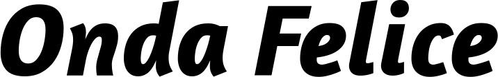 Vorschau des Bootsnamens "Onda Felice" als Schriftzug für "Bootsbeschriftung Kursiv 01"