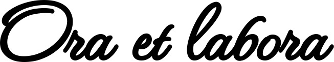 Vorschau des Bootsnamens "Ora et labora" als Schriftzug für "Bootsbeschriftung Klassisch 111"