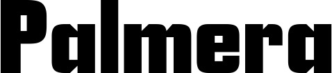 Vorschau des Bootsnamens "Palmera" als Schriftzug für "Bootsbeschriftung Neu 11"