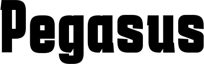 Vorschau des Bootsnamens "Pegasus" als Schriftzug für "Bootsbeschriftung Fett 41"