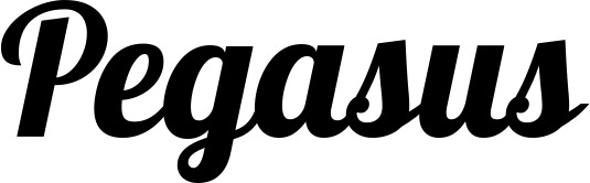 Bootsname 'Pegasus' angezeigt als 'Bootsbeschriftung Neu 60'