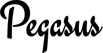 Vorschau des Bootsnamens "Pegasus" als Schriftzug für "Bootsbeschriftung Klassisch 63"