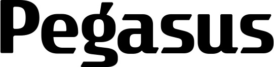 Vorschau des Bootsnamens "Pegasus" als Schriftzug für "Bootsbeschriftung Fett 22"