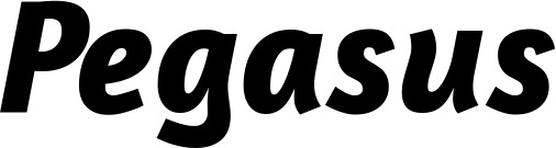 Vorschau des Bootsnamens "Pegasus" als Schriftzug für "Bootsbeschriftung Kursiv 01"