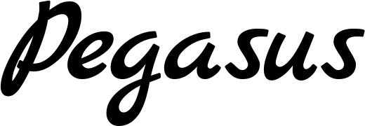 Vorschau des Bootsnamens "Pegasus" als Schriftzug für "Bootsbeschriftung Klassisch 77"