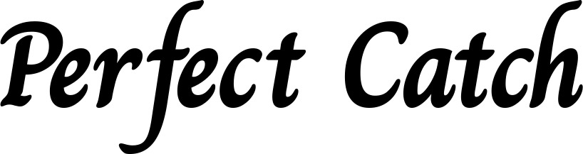 Vorschau des Bootsnamens "Perfect Catch" als Schriftzug für "Bootsbeschriftung Klassisch 51"