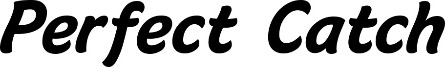 Bootsname 'Perfect Catch' angezeigt als 'Bootsbeschriftung Klassisch 14'
