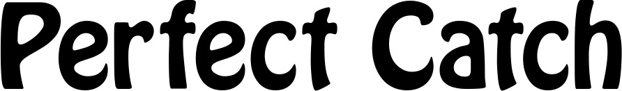 Vorschau des Bootsnamens "Perfect Catch" als Schriftzug für "Bootsbeschriftung Fett 01"