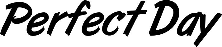 Vorschau des Bootsnamens "Perfect Day" als Schriftzug für "Bootsbeschriftung Klassisch 38"