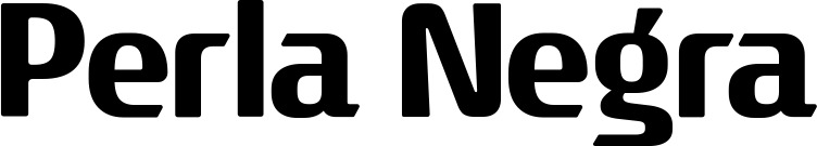 Vorschau des Bootsnamens "Perla Negra" als Schriftzug für "Bootsbeschriftung Fett 22"