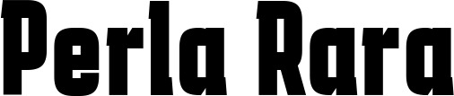 Vorschau des Bootsnamens "Perla Rara" als Schriftzug für "Bootsbeschriftung Fett 41"