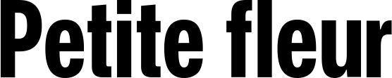 Vorschau des Bootsnamens "Petite fleur" als Schriftzug für "Bootsbeschriftung Fett 25"