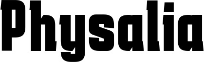 Vorschau des Bootsnamens "Physalia" als Schriftzug für "Bootsbeschriftung Fett 41"