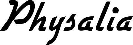 Vorschau des Bootsnamens "Physalia" als Schriftzug für "Bootsbeschriftung Klassisch 66"