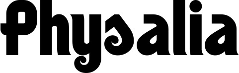 Bootsname 'Physalia' angezeigt als 'Bootsbeschriftung Neu 32'