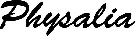 Vorschau des Bootsnamens "Physalia" als Schriftzug für "Bootsbeschriftung Klassisch 03"