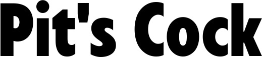 Vorschau des Bootsnamens "Pit's Cock" als Schriftzug für "Bootsbeschriftung Fett 24"