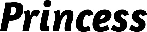 Vorschau des Bootsnamens "Princess" als Schriftzug für "Bootsbeschriftung Kursiv 01"