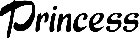 Vorschau des Bootsnamens "Princess" als Schriftzug für "Bootsbeschriftung Klassisch 15"