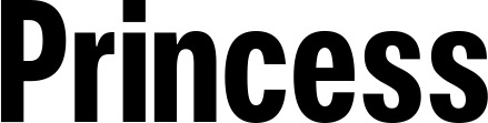 Vorschau des Bootsnamens "Princess" als Schriftzug für "Bootsbeschriftung Fett 25"