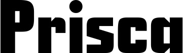 Vorschau des Bootsnamens "Prisca" als Schriftzug für "Bootsbeschriftung Neu 11"