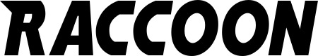Vorschau des Bootsnamens "Raccoon" als Schriftzug für "Bootsbeschriftung Neu 15"
