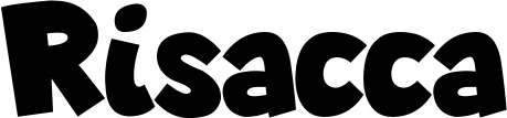 Vorschau des Bootsnamens "Risacca" als Schriftzug für "Bootsbeschriftung Neu 48"