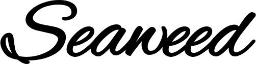 Vorschau des Bootsnamens "Seaweed" als Schriftzug für "Bootsbeschriftung Klassisch 35"