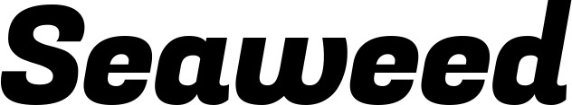 Vorschau des Bootsnamens "Seaweed" als Schriftzug für "Bootsbeschriftung Kursiv 04"